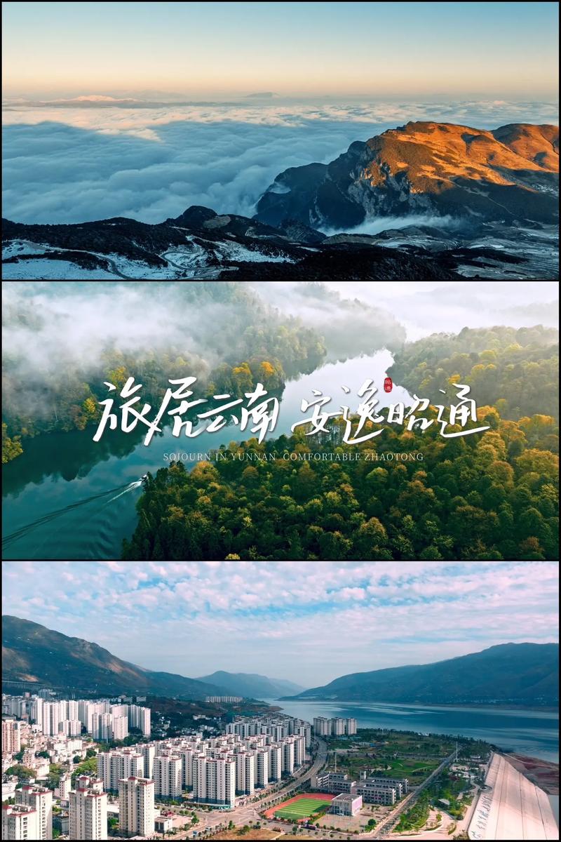 广告设计：创意与技术的交响曲